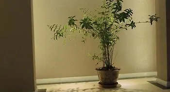 Sunny Holiday Hotel Rangoon Myanmar